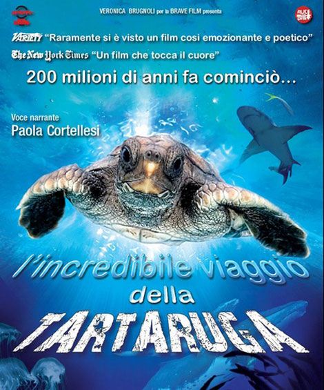 incredibile-viaggio-della-tartaruga
