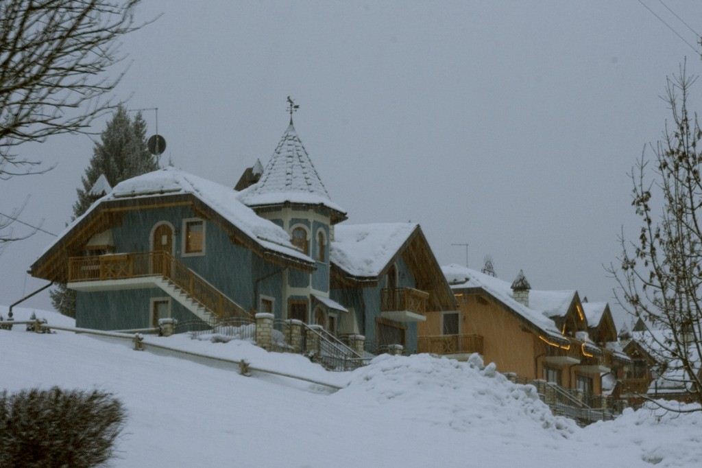 asiago