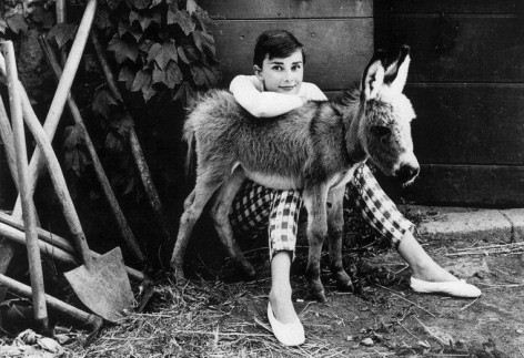 Audrey-Hepburn