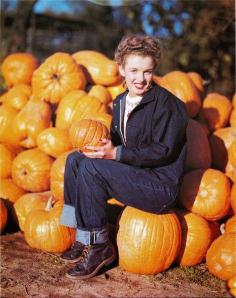Marilyn-Monroe-zucche